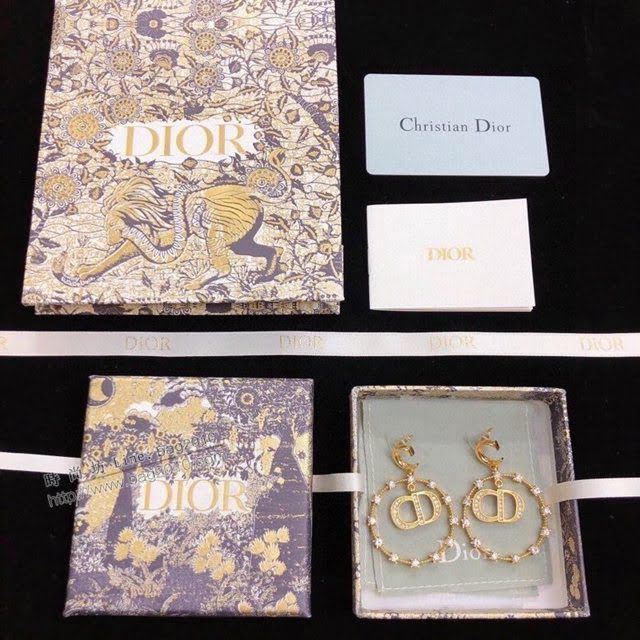 Dior飾品 迪奧經典熱銷款耳釘 S925銀針Dior耳環  zgd1150